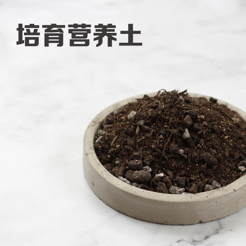 多肉种花营养土泥土小袋