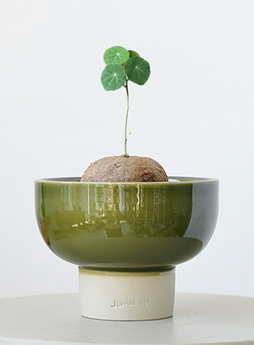绿色苔藓球陶瓷花盆高脚多肉山乌龟块根植物大口径蕨类窑变釉陶盆