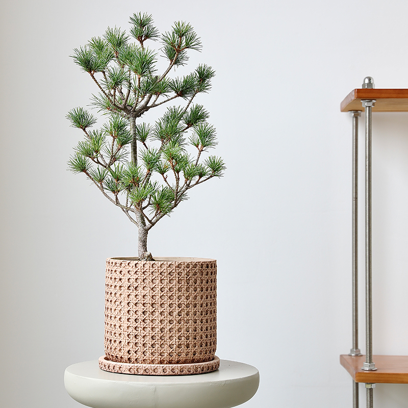 日式仿藤编水泥花盆套盆