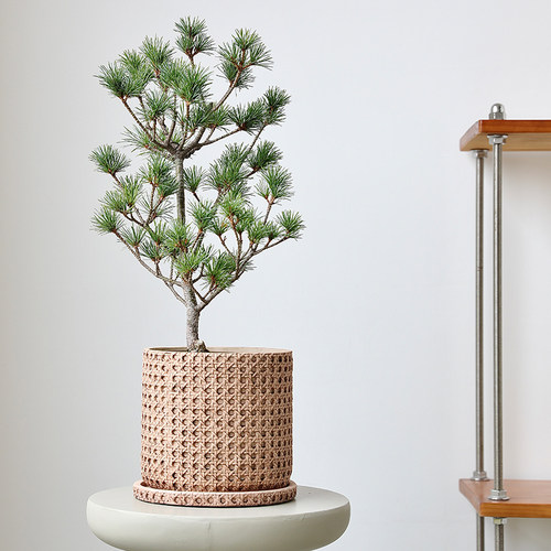 日式仿藤编水泥花盆套盆