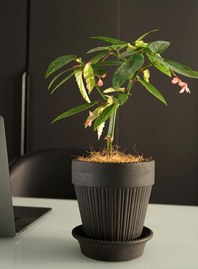 高脚透气花盆帝罗马黑色兰花陶瓷陶土蝴蝶兰黑陶陶盆带托盘侘寂风