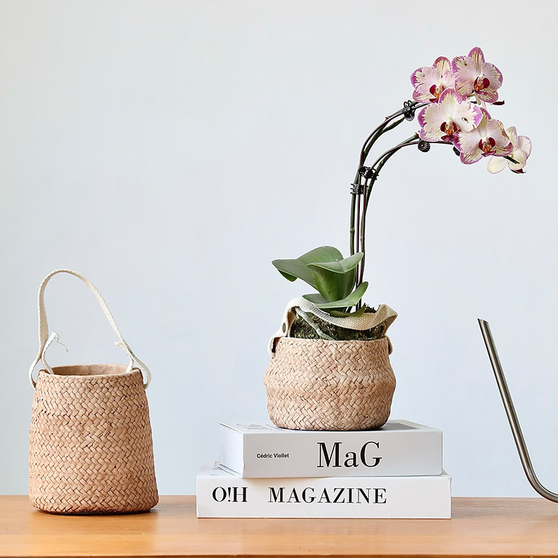 创意设计手工仿编织藤编花盆草编陶瓷陶盆桌面蝴蝶兰套盆吊盆提篮,鲜花速递/花卉仿真/绿植园艺,花盆,淘宝优惠券,粉丝福利购,淘宝优惠卷