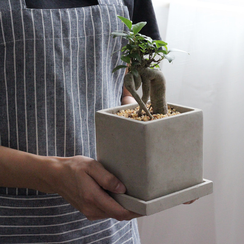 侘寂风方形水泥小花盆多肉陶瓷方盆陶土粗陶仙人掌四方陶盆带托盘