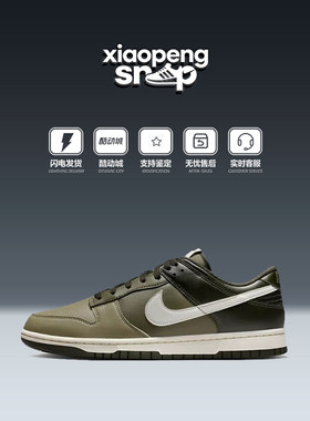Nike耐克DunkLow低帮滑板鞋男