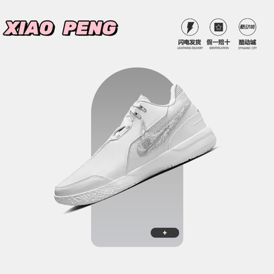 耐克低帮男子专柜正品篮球鞋NXXT