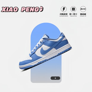 Nike耐克Dunk Low北极蓝白蓝男鞋低帮轻便运动休闲板鞋DV0833-400