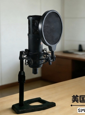 美国sE 2200大振膜电容麦克风防震架支架X1A专业桌面架子防喷罩带