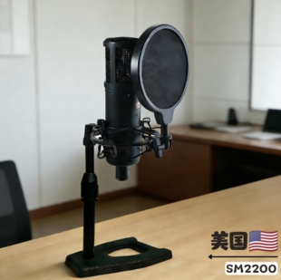 美国sE 2200大振膜电容麦克风防震架支架X1A专业桌面架子防喷罩带