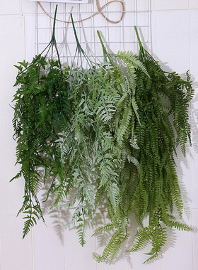 清新吊兰花墙壁仿真绿色植物