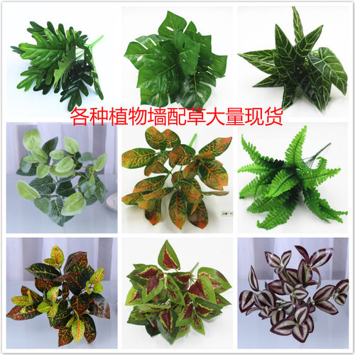 过胶绿萝配草装饰绿植蕨类植物墙