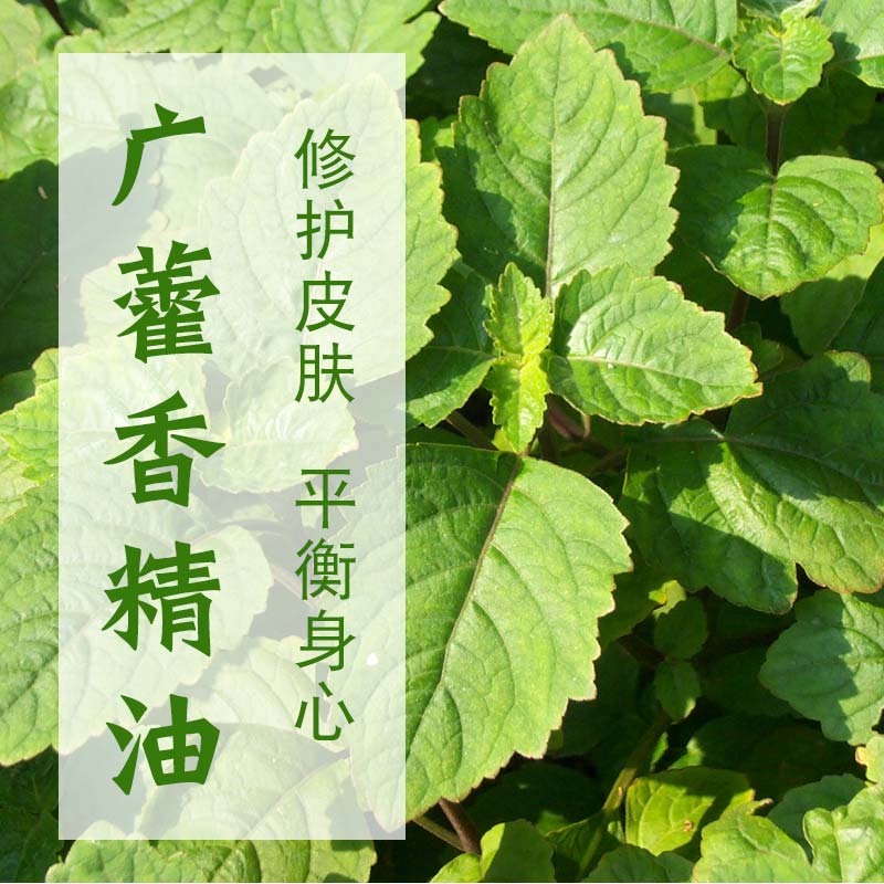 广藿香精油10ml 低沉 湿泥土草木香定香 瑜伽 减食欲