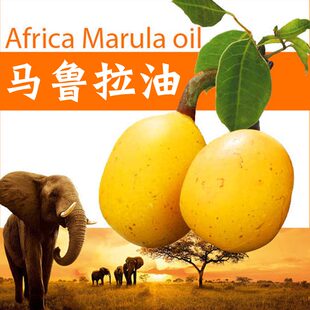 南非初榨马鲁拉油 芳疗植物基础油 修护肌肤亮肤柔滑植物底油