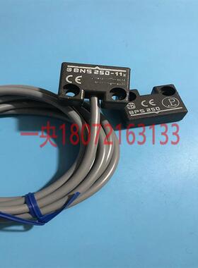 SCHMERSRL施迈赛BNS 250-11z    BPS 250询价