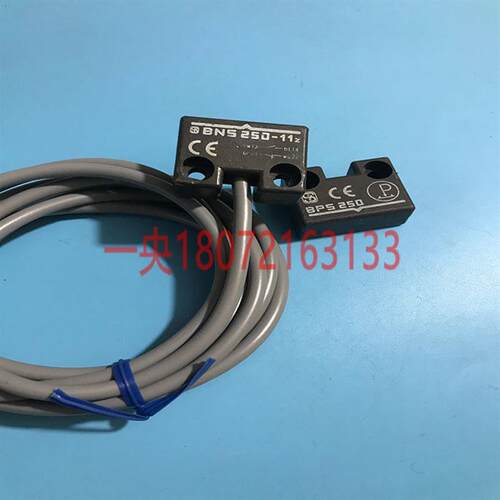 SCHMERSRL施迈赛BNS 250-11z    BPS 250询价