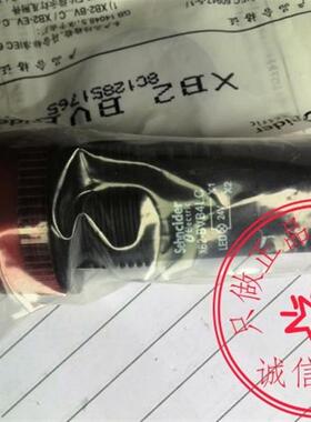 施耐德指示灯 XB2BVM4LC XB2BVB4LC XB2BVB3LC 系列齐全敬请询价
