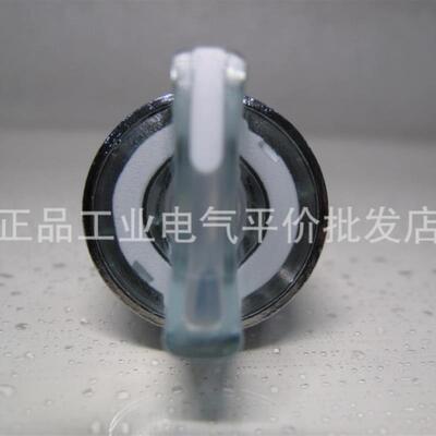 ZB4BK1213  正品现货 施耐德发光选择开关头 - 2位  白ZB4-BK询价