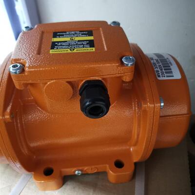 ITALVIBRAS MVSI 15/200-S02电机询价