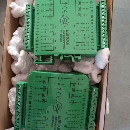 销售EUROGI EMR8XINAP/24C 31E018052继电器询价
