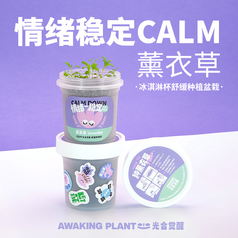 解压舒缓薰衣草种植盆栽创意礼物