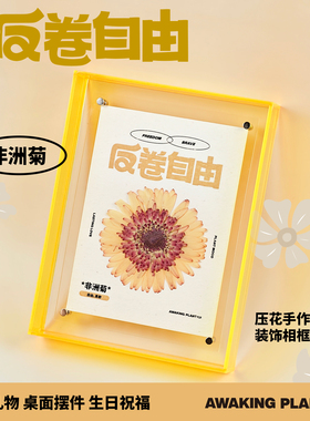 非洲菊压花手作相框装饰画工位桌面治愈摆件生日离职祝福小众礼物