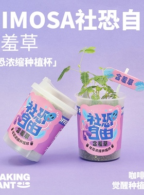 光合觉醒含羞草种植杯盆栽办公桌面小绿植社恐节日生日创意小礼物
