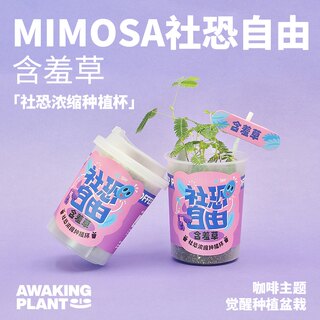 光合觉醒含羞草种子种植盆栽办公桌面小绿植社恐节日生日创意礼物