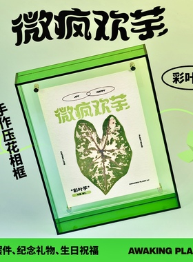彩叶芋压花手作相框热植装饰画解压治愈工位桌面摆件生日祝福礼物