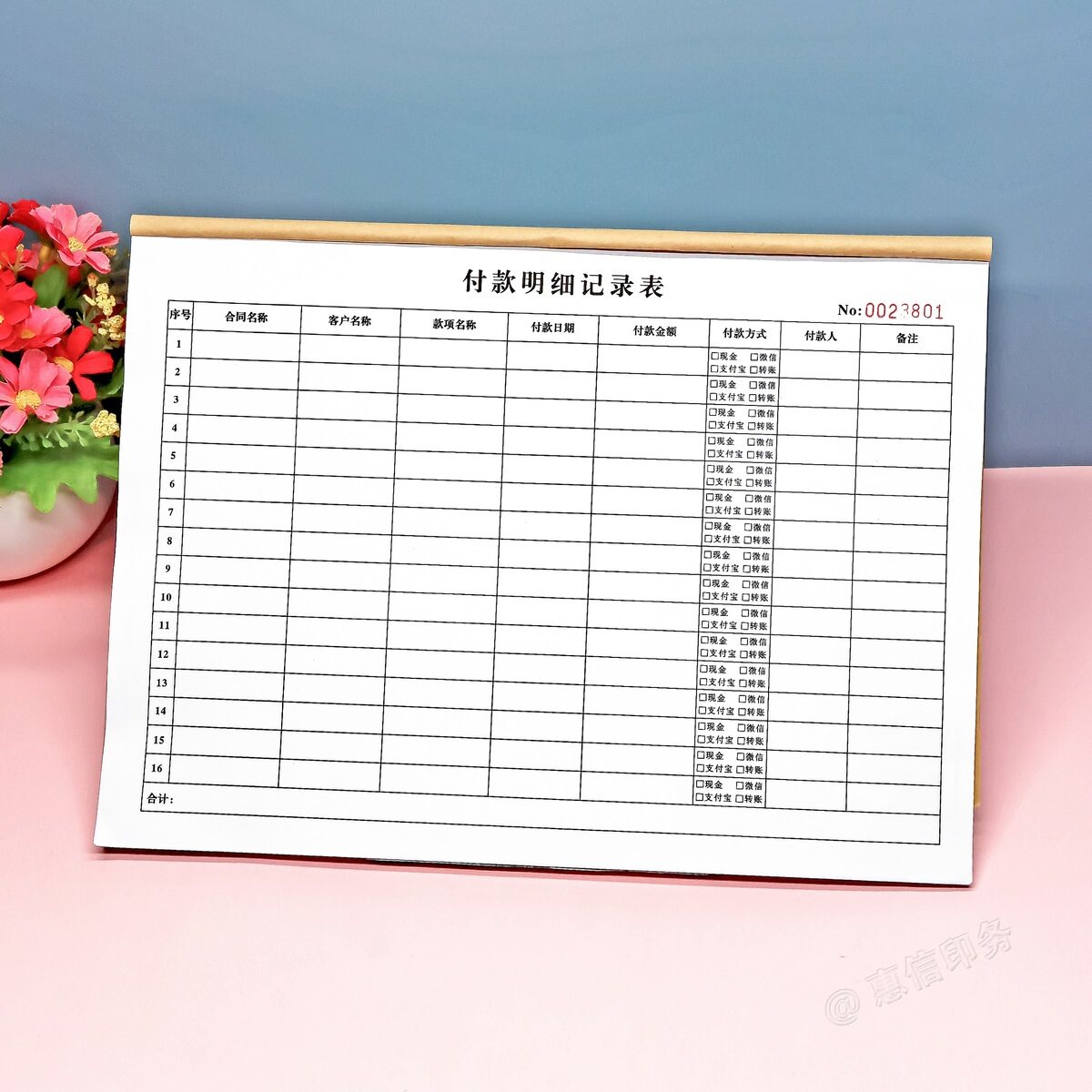 公司财务会计付款明细记录表