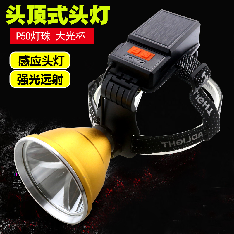 万径黄光头灯夜钓钓鱼