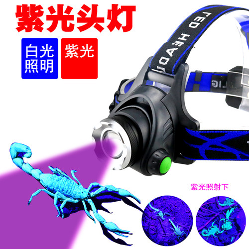 紫光白光双光源头灯照明户外