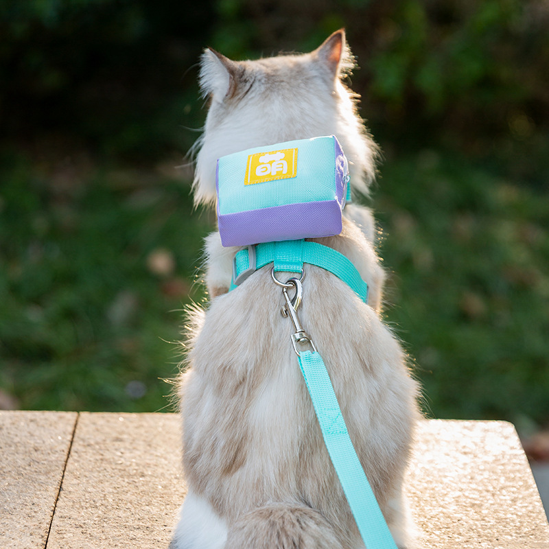 法国JoyPaw新款网格透气遛狗绳