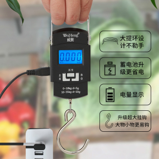 威衡手提秤便携式 小型充电家用称重50kg高精度手拉称快递称电子秤