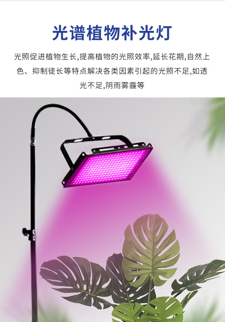 补光灯美容红光灯紫光灯落地式