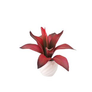 创意假花仿真绿植盆栽多肉仿真花小摆件植物客厅桌面装饰ins