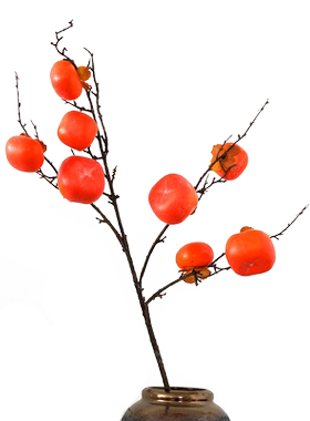 lmdec仿真水果加重柿子蔬菜橱柜