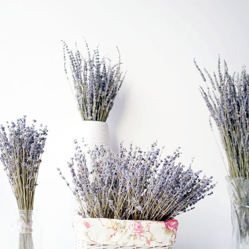 天然干花普罗旺斯薰衣草香味浓郁