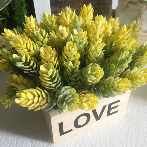 绿植墙饰面价格 绿植墙饰面图片 星期三