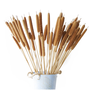 天然水蒲棒真花干花水蜡烛 lmdec插花花艺摆件中式干花花瓶套装花