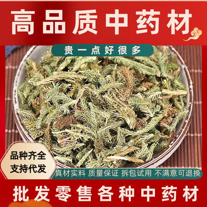 同仁堂野生伸筋草中药500克g另售远志益智仁伸筋草透骨草中药材