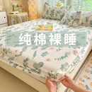 四季 床笠纯棉100全棉床罩2025新款 通用床单套席梦思床垫保护套罩