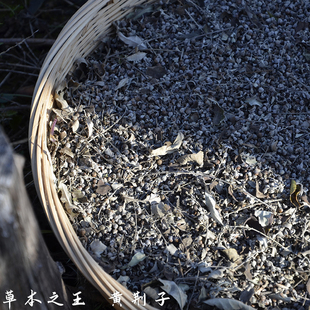 黄荆柴灰 农家现烧新鲜植物炭灰碱布惊灰黄金树草木碱包灰水粽子