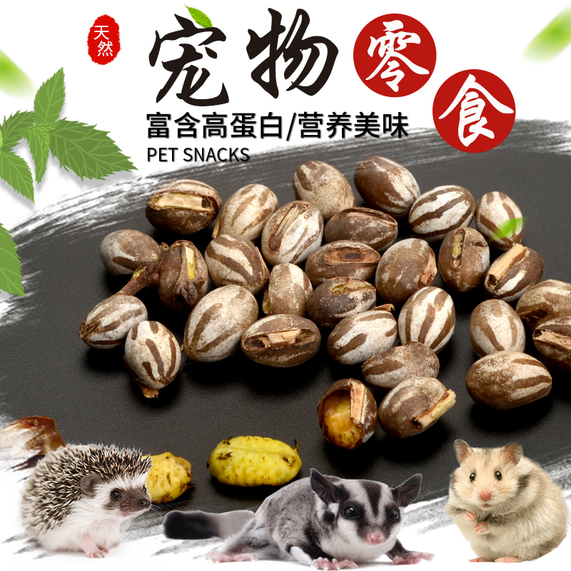 刺猬蜜袋鼯鼬粮食高蛋白营养零食坦克虫活虫增肥长肉仓鼠花枝飞鼠