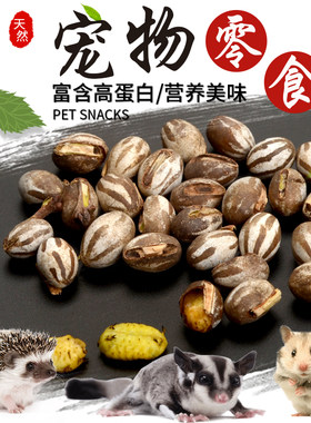刺猬蜜袋鼯粮食高蛋白营养