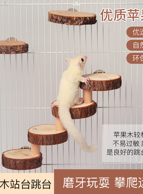 苹果木枝叉跳台树桩吊桥楼梯蜜袋鼯龙猫磨牙仓鼠玩具松鼠玩耍用品