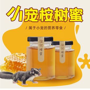 蜜袋鼯活物蜜粮食用品主粮零食物饲料蜜袋鼬小宠野生桉树蜜蜂蜜