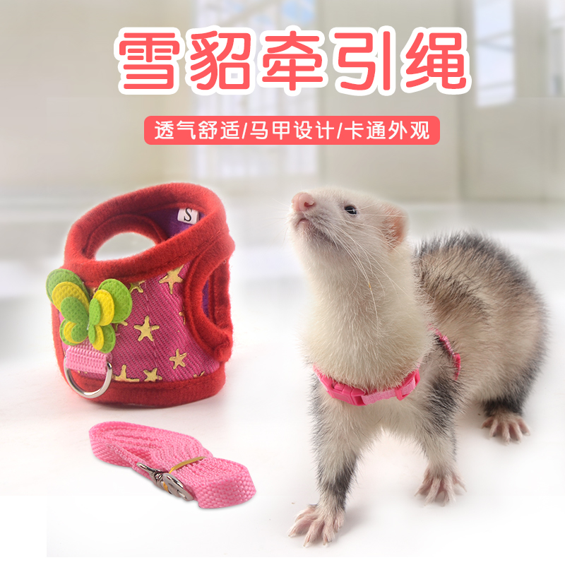 龙猫背心牵引绳土拨鼠宠物