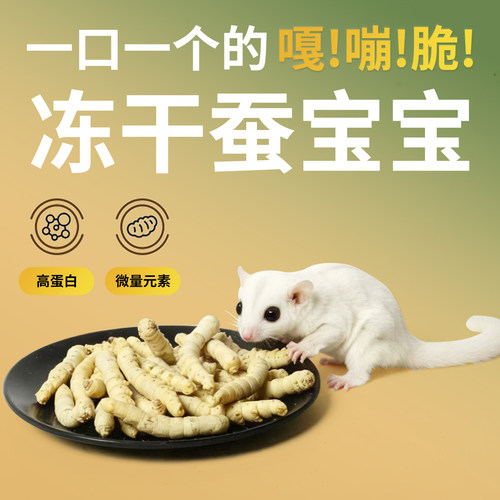 蜜袋鼯冻干蚕宝宝互动营养零食