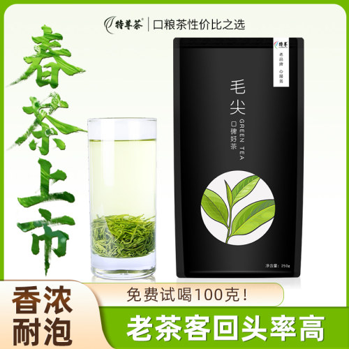 2026新茶毛尖绿茶明前特尊茶250g