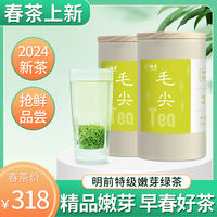 2024新茶 特尊茶毛尖绿茶明前早春高山嫩芽茶叶精品特级100g*2罐