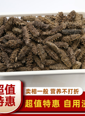 超值特惠丨自用型淡干海参250g/500g卖相一般 营养不打折刺参干货